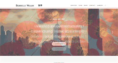 Desktop Screenshot of borrelliwalsh.com